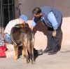 Filename=pedro-agustin-truan.jpg
Filesize=39KiB
Dimensions=600x590
Date added=%878 %31, %2006 pedro-agustin-truan.jpg