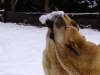 Filename=photo6hanka.jpg
Filesize=15KiB
Dimensions=450x338
Date added=%809 %20, %2006 photo6hanka.jpg