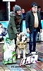 Filename=pilar_de_serylu.jpg
Filesize=80KiB
Dimensions=468x762
Date added=%911 %12, %2019 pilar_de_serylu.jpg
