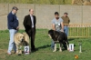 Filename=podium_intermedia_machos.jpg
Filesize=102KiB
Dimensions=960x639
Date added=%687 %23, %2014 podium_intermedia_machos.jpg
