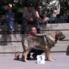 Filename=pol3.jpg
Filesize=29KiB
Dimensions=544x543
Date added=%429 %19, %2006 pol3.jpg