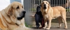 Filename=principe_gen.jpg
Filesize=320KiB
Dimensions=927x401
Date added=%727 %08, %2015 principe_gen.jpg