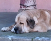 Filename=profil-sover.jpg
Filesize=44KiB
Dimensions=700x580
Date added=%959 %01, %2006 profil-sover.jpg