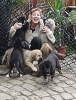 Filename=puppies~0.jpg
Filesize=38KiB
Dimensions=242x318
Date added=%665 %26, %2006 puppies~0.jpg