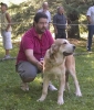 Filename=puppy-female-baltasar.jpg
Filesize=84KiB
Dimensions=684x800
Date added=%978 %24, %2006 puppy-female-baltasar.jpg