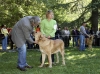 Filename=puppy-females-b.jpg
Filesize=191KiB
Dimensions=1200x891
Date added=%549 %27, %2008 puppy-females-b.jpg