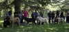 Filename=puppy-males2.jpg
Filesize=193KiB
Dimensions=1500x703
Date added=%980 %22, %2008 puppy-males2.jpg