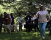 Filename=puppy-males3.jpg
Filesize=156KiB
Dimensions=1200x955
Date added=%973 %22, %2008 puppy-males3.jpg