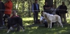 Filename=puppy-males5.jpg
Filesize=115KiB
Dimensions=1500x743
Date added=%973 %22, %2008 puppy-males5.jpg