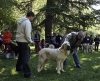 Filename=puppy-males7.jpg
Filesize=190KiB
Dimensions=1200x979
Date added=%972 %22, %2008 puppy-males7.jpg