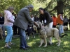 Filename=puppy-males9.jpg
Filesize=186KiB
Dimensions=1200x904
Date added=%003 %22, %2008 puppy-males9.jpg