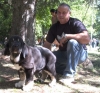 Filename=puppy-pisuena2.jpg
Filesize=95KiB
Dimensions=800x748
Date added=%463 %29, %2006 puppy-pisuena2.jpg