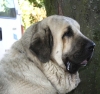 Filename=q-mastin-mono08.jpg
Filesize=114KiB
Dimensions=1200x1128
Date added=%817 %22, %2008 q-mastin-mono08.jpg