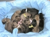 Filename=r7.jpg
Filesize=46KiB
Dimensions=733x550
Date added=%688 %14, %2008 r7.jpg