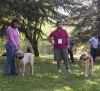 Filename=ramonet-female1.jpg
Filesize=145KiB
Dimensions=900x824
Date added=%981 %24, %2006 ramonet-female1.jpg