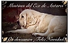 Filename=rco_de_antares.jpg
Filesize=45KiB
Dimensions=750x478
Date added=%927 %31, %2020 rco_de_antares.jpg
