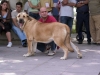 Filename=redshirt2.jpg
Filesize=36KiB
Dimensions=800x600
Date added=%536 %16, %2006 redshirt2.jpg