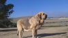 Filename=reina_rabiiza3.jpg
Filesize=87KiB
Dimensions=960x540
Date added=%103 %24, %2015 reina_rabiiza3.jpg