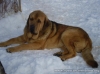 Filename=roco.jpg
Filesize=38KiB
Dimensions=670x502
Date added=%714 %02, %2019 roco.jpg