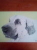 Filename=rodolfo.jpg
Filesize=85KiB
Dimensions=720x960
Date added=%852 %19, %2014 rodolfo.jpg