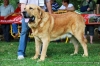 Filename=romo.jpg
Filesize=60KiB
Dimensions=670x446
Date added=%714 %02, %2019 romo.jpg