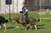 Filename=ron-a.jpg
Filesize=125KiB
Dimensions=960x640
Date added=%703 %23, %2014 ron-a.jpg