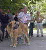 Filename=ron-autocan.jpg
Filesize=68KiB
Dimensions=734x800
Date added=%854 %20, %2006 ron-autocan.jpg