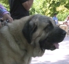 Filename=ron-head.jpg
Filesize=57KiB
Dimensions=800x744
Date added=%748 %20, %2006 ron-head.jpg