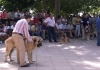 Filename=ron-leon-campanero.jpg
Filesize=52KiB
Dimensions=800x566
Date added=%783 %19, %2006 ron-leon-campanero.jpg