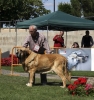 Filename=ron-veteran.jpg
Filesize=168KiB
Dimensions=1134x1200
Date added=%845 %26, %2008 ron-veteran.jpg