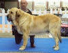 Filename=ron.jpg
Filesize=18KiB
Dimensions=400x313
Date added=%733 %07, %2006 ron.jpg