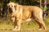Filename=salomon--.jpg
Filesize=412KiB
Dimensions=2048x1353
Date added=%777 %07, %2019 salomon--.jpg