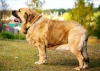Filename=salomon-2C.jpg
Filesize=550KiB
Dimensions=2048x1462
Date added=%777 %07, %2019 salomon-2C.jpg
