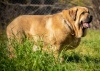 Filename=salomon-m2C.jpg
Filesize=598KiB
Dimensions=2048x1468
Date added=%777 %07, %2019 salomon-m2C.jpg