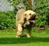 Filename=salomon_212F2_m.jpg
Filesize=63KiB
Dimensions=478x450
Date added=%777 %07, %2019 salomon_212F2_m.jpg
