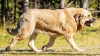Filename=salomonnn.jpg
Filesize=298KiB
Dimensions=1687x955
Date added=%777 %07, %2019 salomonnn.jpg