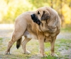 Filename=salomon~0.jpg
Filesize=506KiB
Dimensions=2048x1721
Date added=%777 %07, %2019 salomon~0.jpg