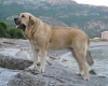 Filename=sam2.jpg
Filesize=28KiB
Dimensions=500x400
Date added=%407 %13, %2007 sam2.jpg