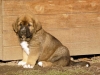 Filename=samantha.jpg
Filesize=64KiB
Dimensions=733x550
Date added=%902 %13, %2008 samantha.jpg