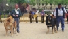 Filename=sancho_truman_99.jpg
Filesize=89KiB
Dimensions=1000x578
Date added=%727 %03, %2007 sancho_truman_99.jpg