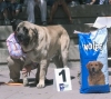 Filename=sanson2.jpg
Filesize=54KiB
Dimensions=800x715
Date added=%766 %21, %2006 sanson2.jpg