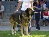 Filename=sanson3~0.jpg
Filesize=108KiB
Dimensions=1100x825
Date added=%515 %16, %2007 sanson3~0.jpg