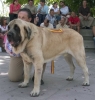 Filename=sanson~0.jpg
Filesize=70KiB
Dimensions=858x900
Date added=%914 %20, %2006 sanson~0.jpg