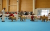 Filename=sat-intermediatefemales1.jpg
Filesize=133KiB
Dimensions=952x600
Date added=%566 %28, %2009 sat-intermediatefemales1.jpg
