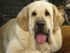Filename=saturday-lois7.jpg
Filesize=112KiB
Dimensions=800x600
Date added=%082 %29, %2009 saturday-lois7.jpg