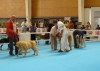 Filename=saturday-puppymales1.jpg
Filesize=110KiB
Dimensions=844x600
Date added=%572 %28, %2009 saturday-puppymales1.jpg