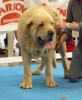 Filename=saturday-zeus.jpg
Filesize=71KiB
Dimensions=492x600
Date added=%908 %28, %2009 saturday-zeus.jpg