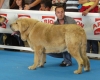 Filename=saturday-zeus1.jpg
Filesize=78KiB
Dimensions=683x550
Date added=%908 %28, %2009 saturday-zeus1.jpg