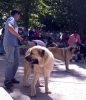 Filename=seo-ron.jpg
Filesize=64KiB
Dimensions=689x800
Date added=%809 %19, %2006 seo-ron.jpg