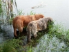 Filename=sep,.jpg
Filesize=53KiB
Dimensions=640x480
Date added=%422 %02, %2006 sep,.jpg